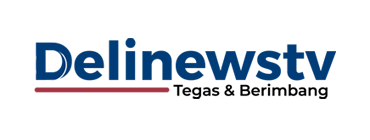 Logo Delinewstv