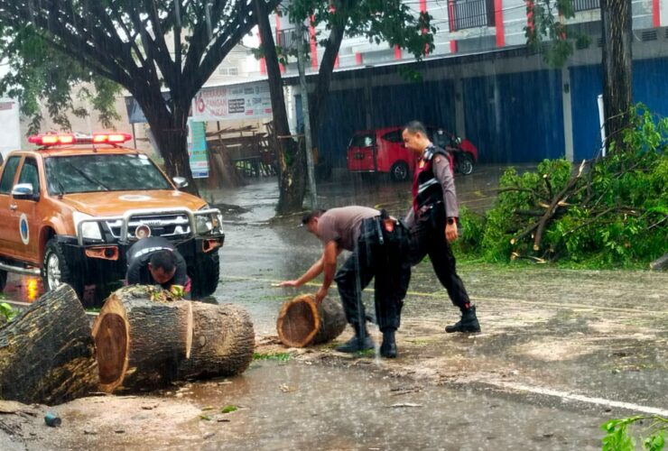 Petugas kepolisian Bulukumba tangani pohon tumbang